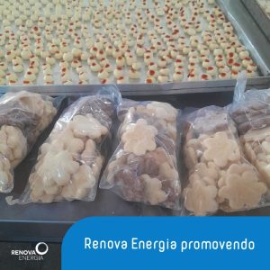 Renova Energia