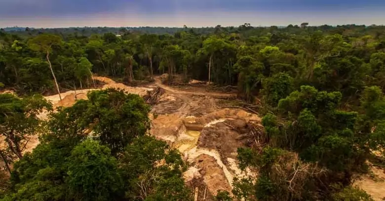 Glenis Gomes Steckel reforça a importância da recuperação ambiental para o desenvolvimento sustentável