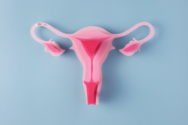 Quando a aderência uterina compromete a fertilidade: entenda como isso afeta as chances de engravidar