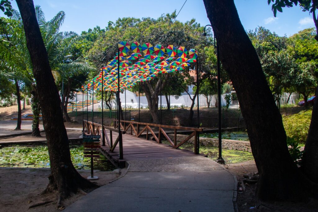 Olinda Dá Gosto vira refúgio gastronômico no meio da folia