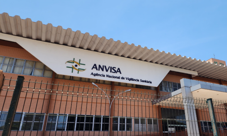 Após identificação de fungos, Anvisa veta lote de panetones e chocotones.
