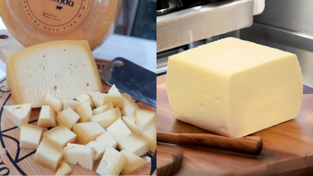 Queijo de Morada Nova conquista reconhecimento em competição nacional no Ceará