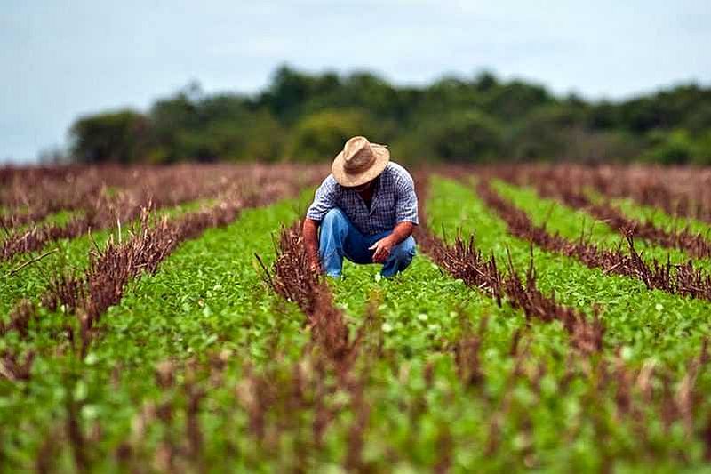 Governo lança iniciativa para reestruturar débitos do setor agrícola