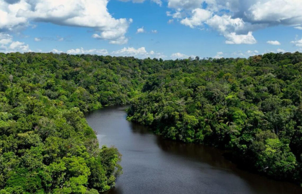 Aproximadamente 70% dos novos congressistas estão distantes da pauta ambiental